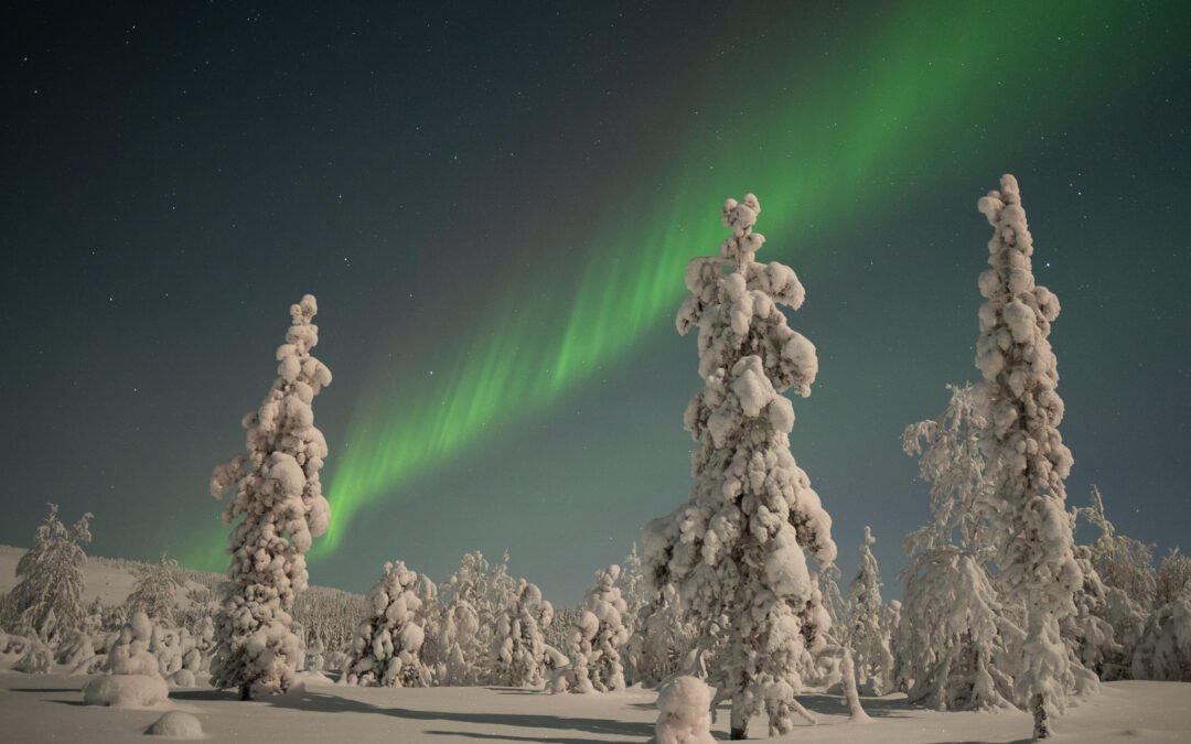 Circuit premium en hiver : de Rovaniemi à Tromsø