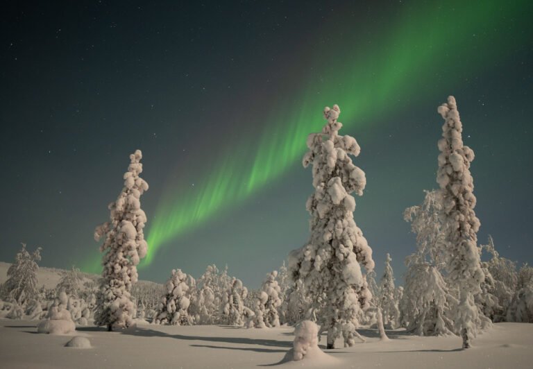 rovaniemi tromso premium journey winter
