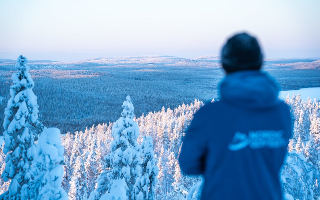 Séjour en Laponie en hiver : de Rovaniemi à Ylläs